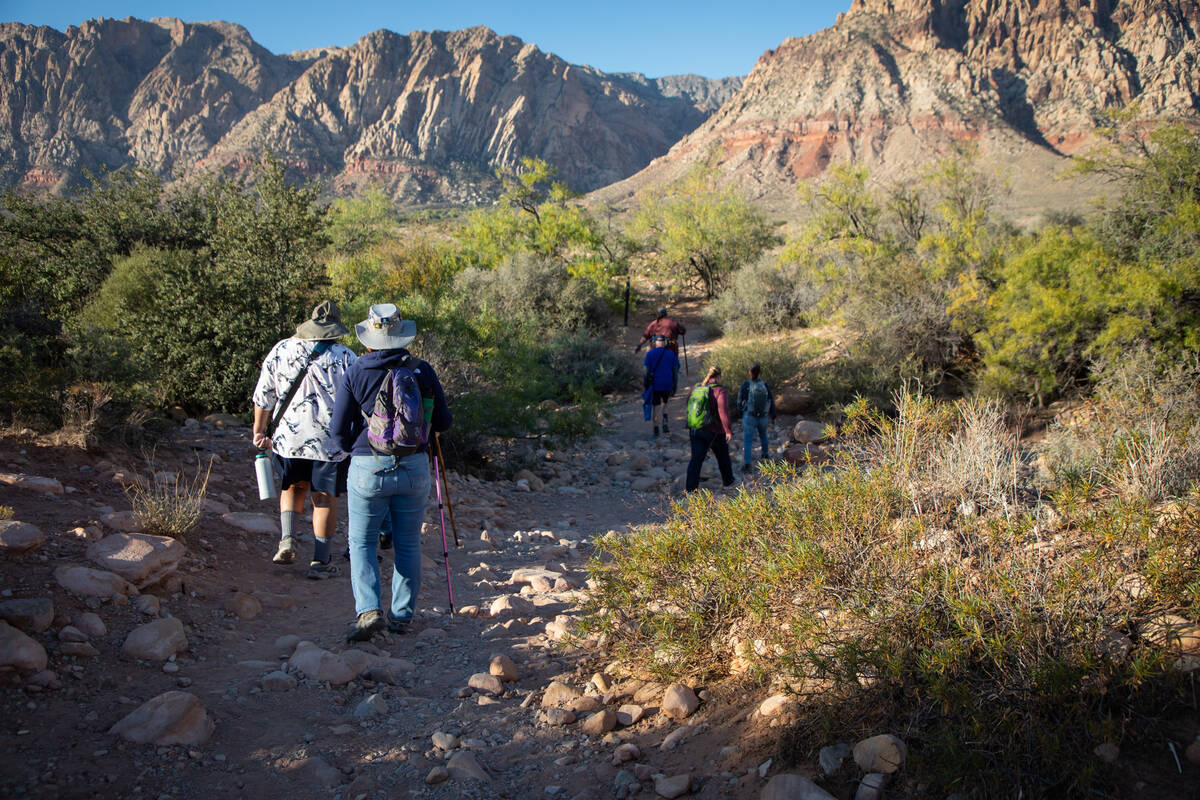 The Las Vegas Overweight Hikers for Health take an early morning hike on the First Creek Trailh ...