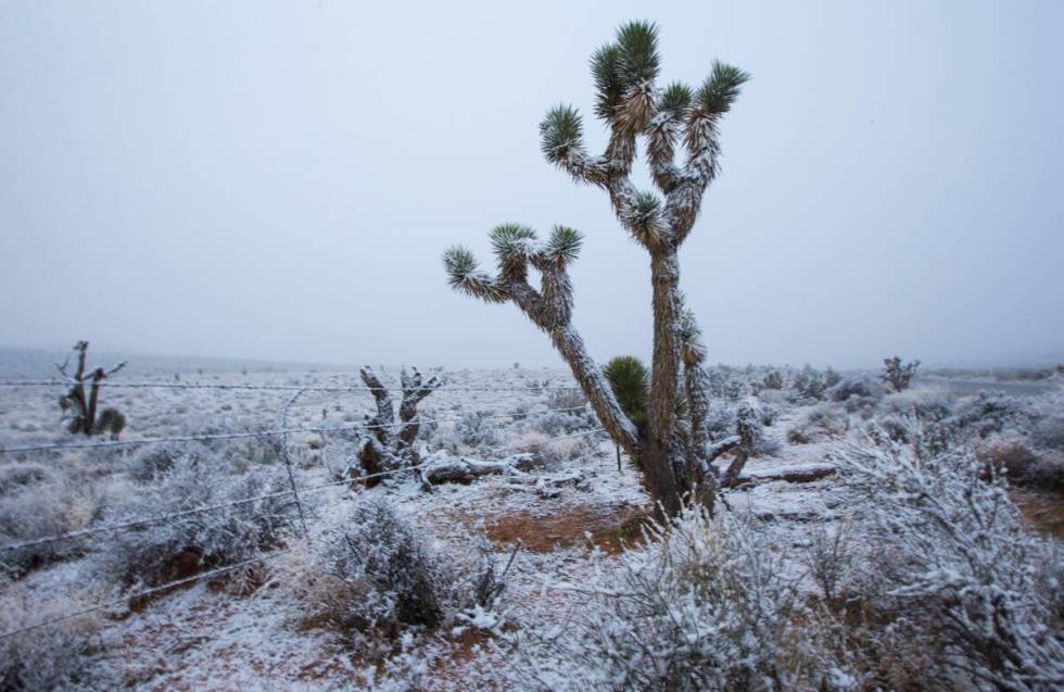 Esmeralda, southern Nye and Lincoln counties are expected to have snow accumulations above 5,00 ...