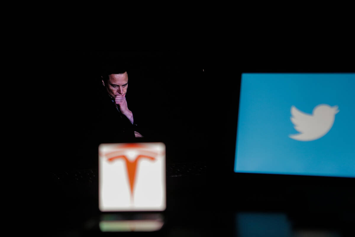 Elon Musk the new owner and the sole director of the social networking app Twitter, on Nov. 5, ...