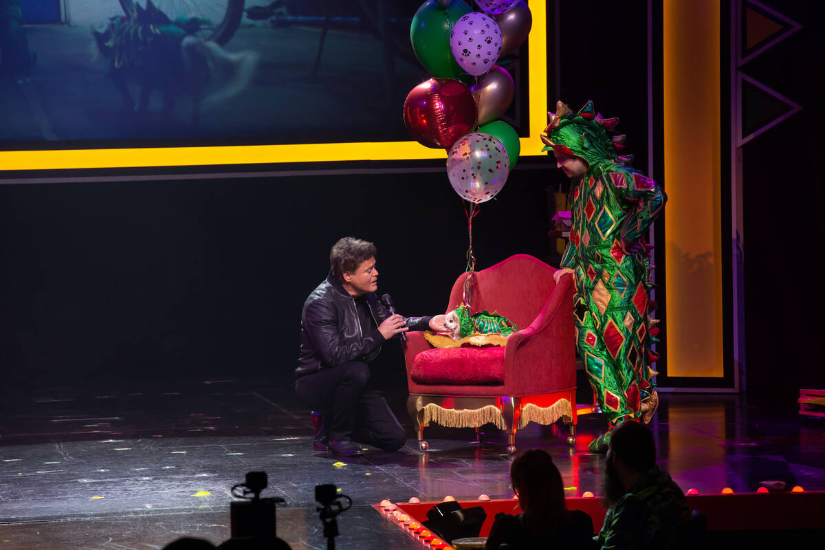 Piff The Magic Dragon (left) and Donny Osmond are shown at Flamingo Showroom during the 15th bi ...