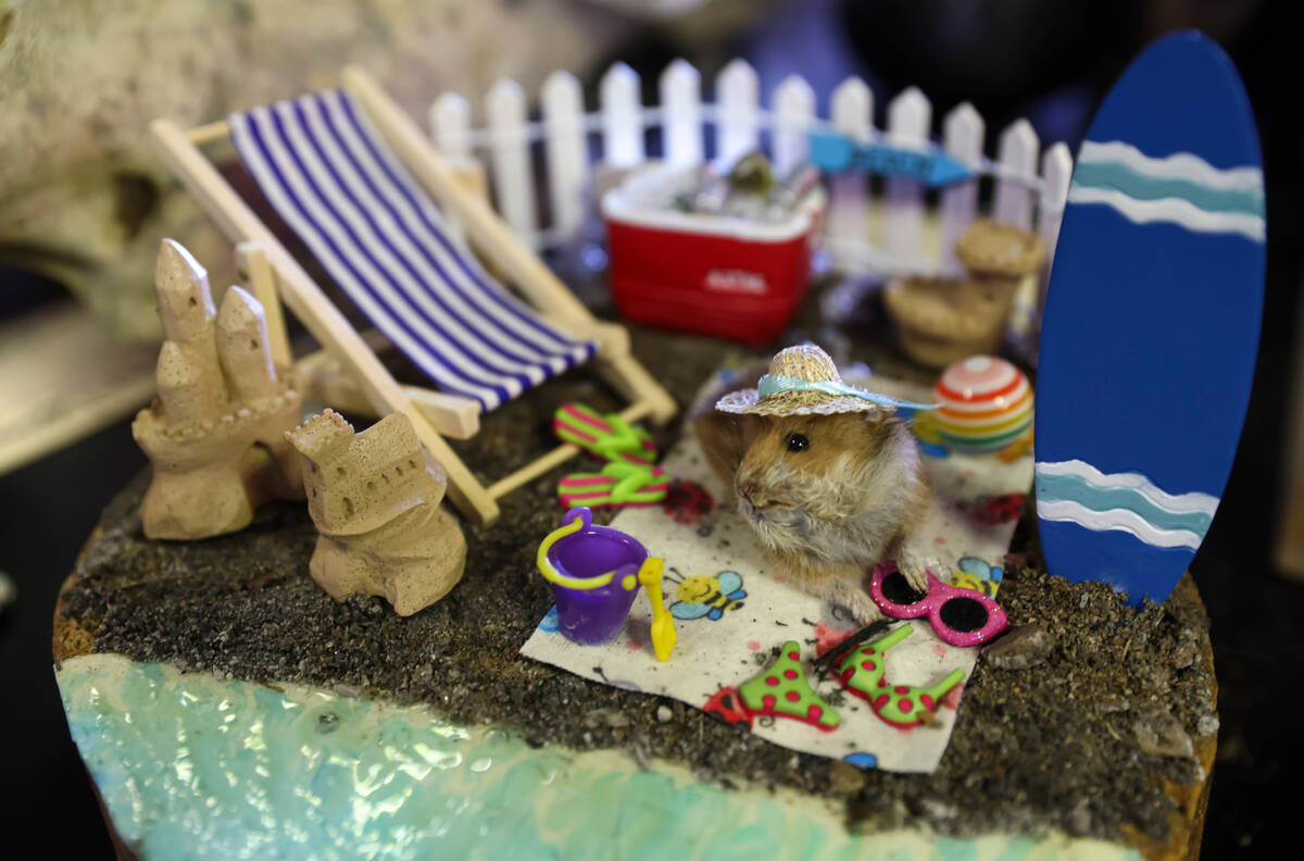 A miniature taxidermy display is seen at Cemetery Pulp, a shop of oddities, comics and more, on ...