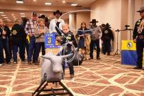 Braxton Hallums winds up to rope his steer during the Golden Circle of Champions celebration Su ...
