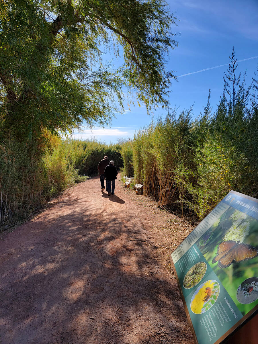 Wetlands Park visitors walk along a shady path with access to Cottonwood Grove, a spot for wild ...