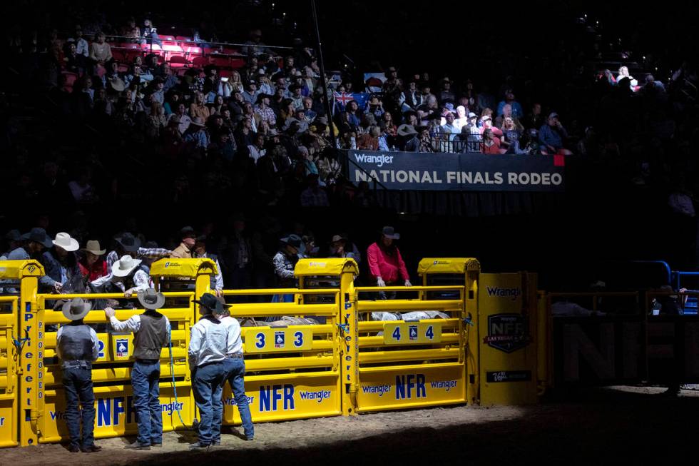 Contestants ready themselves to compete during the sixth go-round of the National Finals Rodeo ...