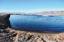 This is one of about a dozen Boulder City detention ponds that have been operating since the 19 ...
