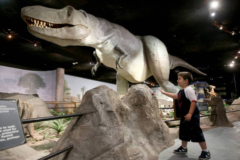 Dylan Steele, 5, of Cibolo, Texas, takes part in "Carnivore Crime Scene: Cretaceous Period" at ...