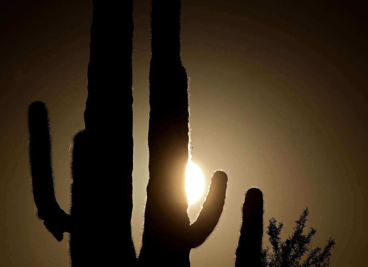 The sun sets on the vast desert landscape along Sun Valley Parkway in Buckeye, a "road to ...