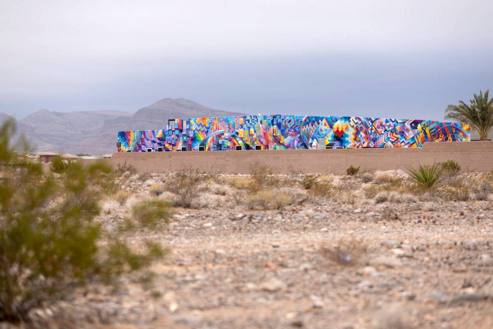 The home of Brandon Bowsky has a large mural painted on two sides of his house on Wednesday, Ja ...