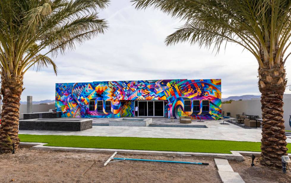 Marketing CEO Brandon Bowsky owns a home that he had a mural painted on its east and north faci ...