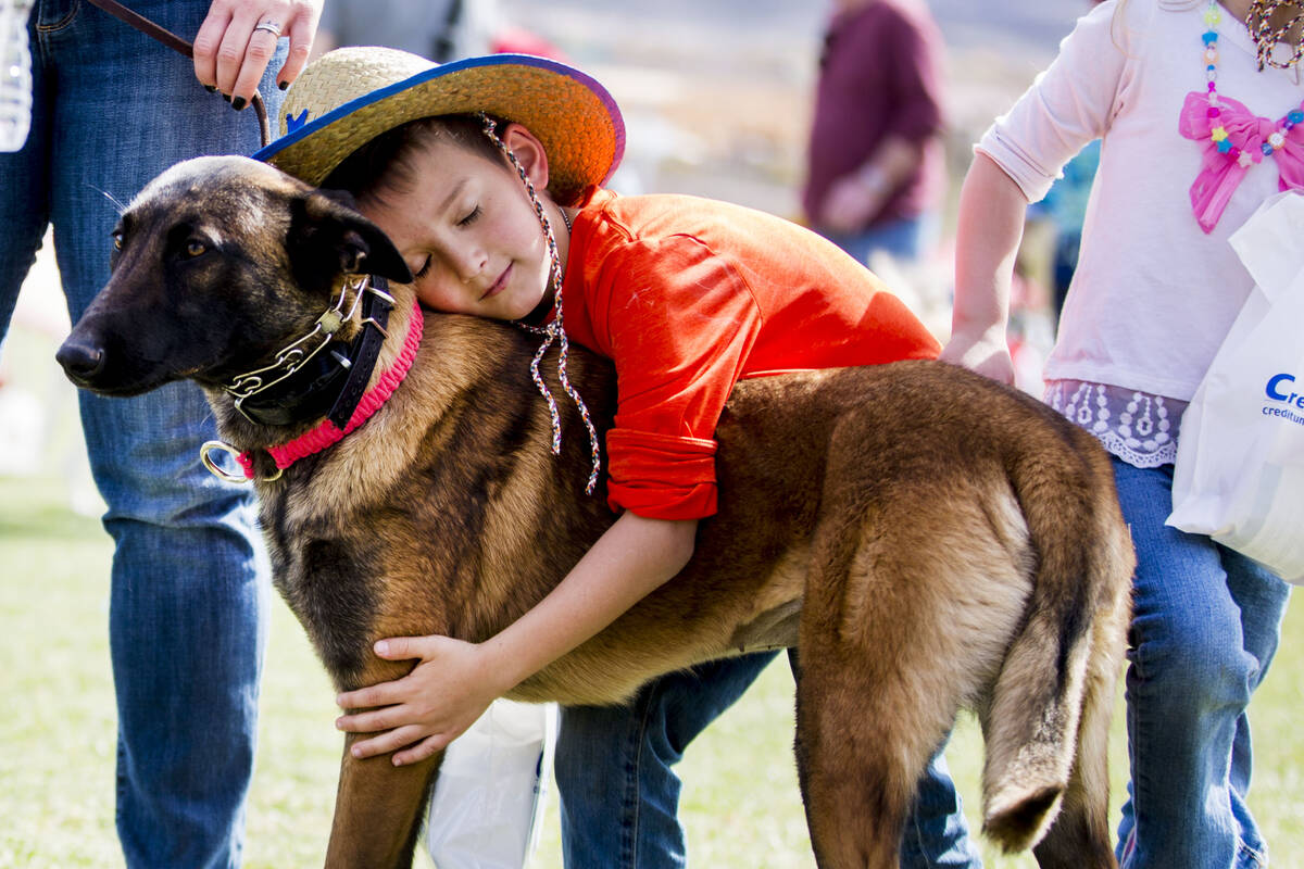 Wyatt Papacs, 7, hugs Zoya, a Belgian Malinois, during Bark In the Park, an event to celebrate ...