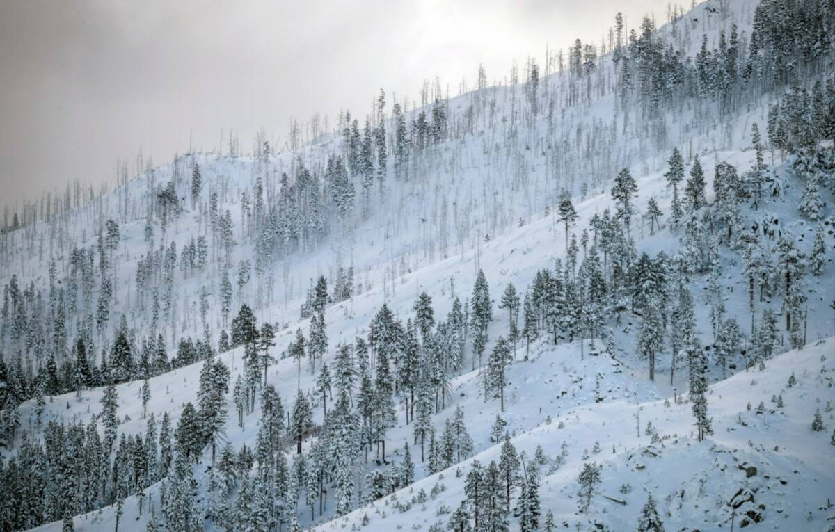 A coat of fresh snow is seen on a mountain the morning after a winter storm pelted the region w ...