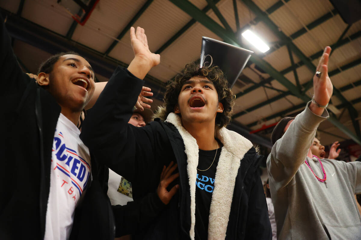 People cheer during a boys class 5A southern region semifinal game between Liberty and Coronado ...