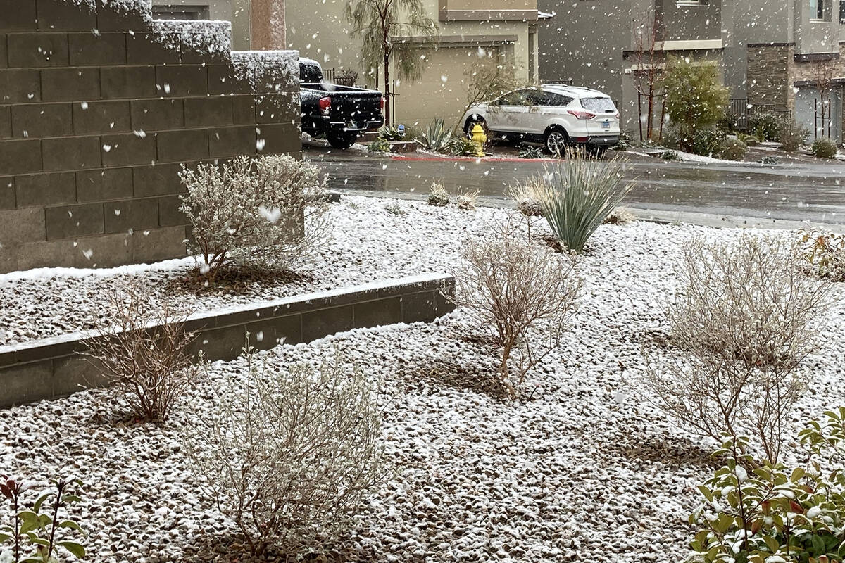 Snow accumulates outside a Summerlin home Wednesday, March 1, 2023, in Las Vegas. (Eli Segall/L ...