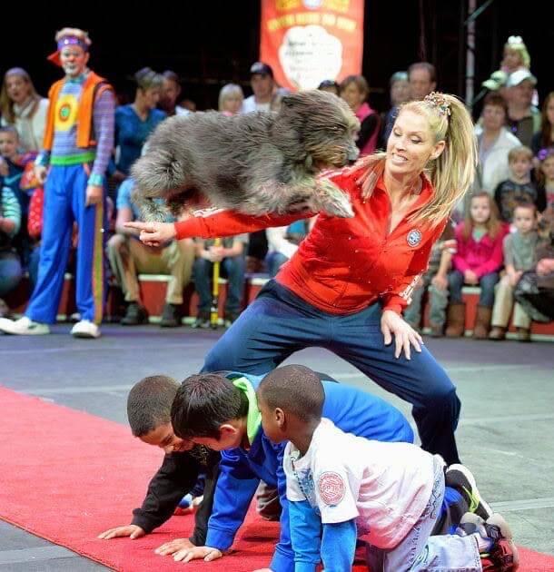 Circus performer Alexandra Carden is shown during a show with the Carden International Circus. ...