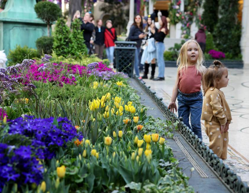 Norah Allen, 4, of Salt Lake City and her sister Ava, 2, pose for their mother Alyssa in the ne ...