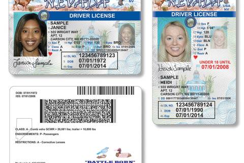 Samples of Nevada driver's licenses. (DMV file)