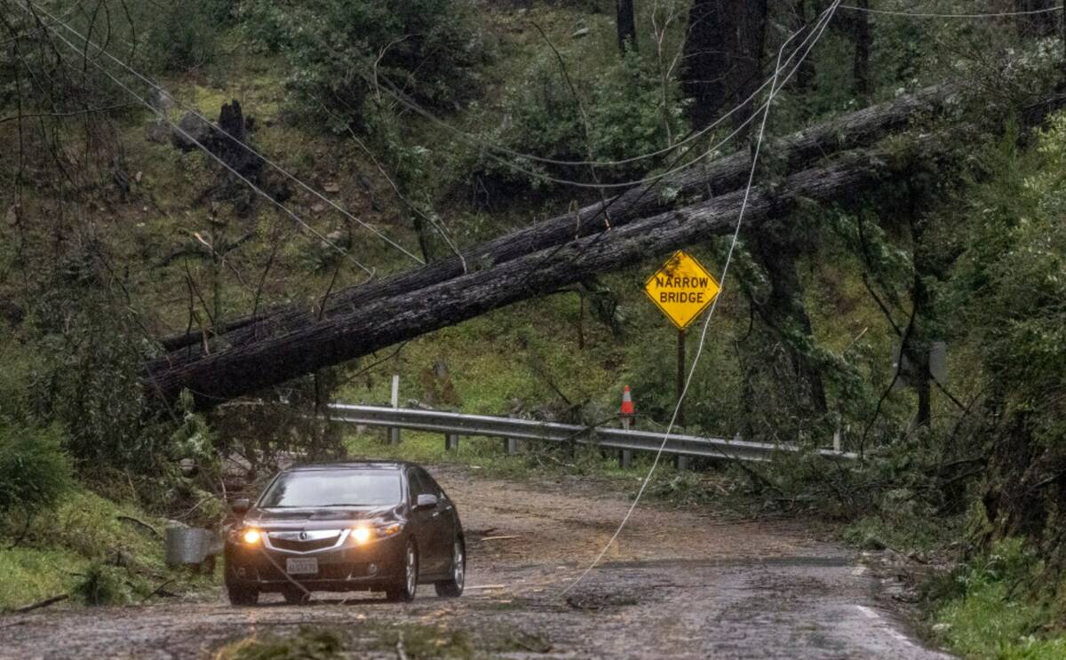 A vehicle drives past fallen trees along Big Basin Way during the latest atmospheric storm even ...