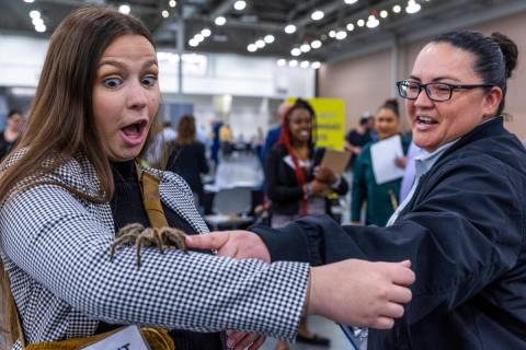 Jalyn Yochum, left, reacts Chile the tarantula on her arm from a booth by Preventive Pest Contr ...