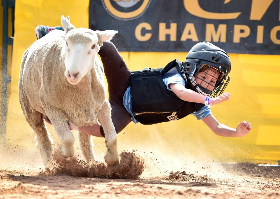 Preslee Totton, 6, of Overton, dives off her mount during a qualifying round of mutton bustin a ...