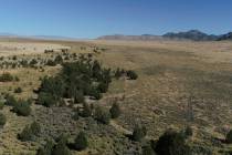 The Swamp Cedars area, seen near Ely. (The Associated Press)