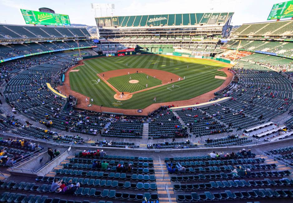 The Oakland A's fans watch a baseball game against the Cincinnati Reds at the Oakland Coliseum, ...