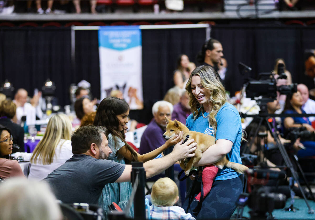 Volunteer Rosie Hall carries Theodore in The Animal Foundation 20th annual Best In Show dog sho ...