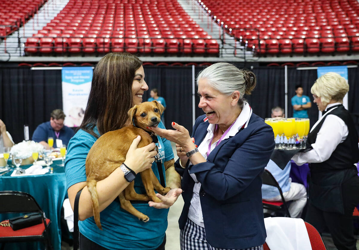 Volunteer Jamie Sullivan holds Scooby as Nicole Wolf pets him during the 20th annual Best In Sh ...