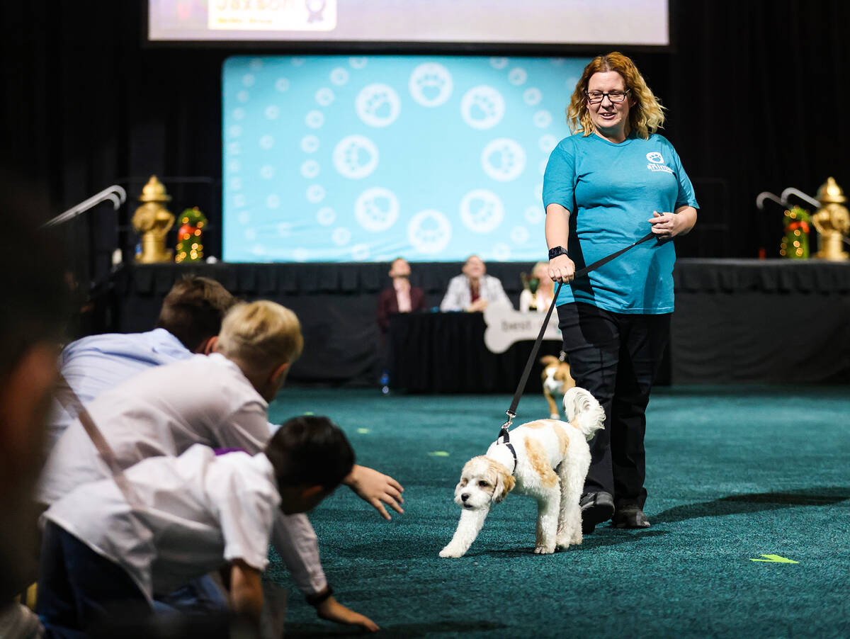 Volunteer Jennifer Cooper leads Jaxson in The Animal Foundation 20th annual Best In Show dog sh ...
