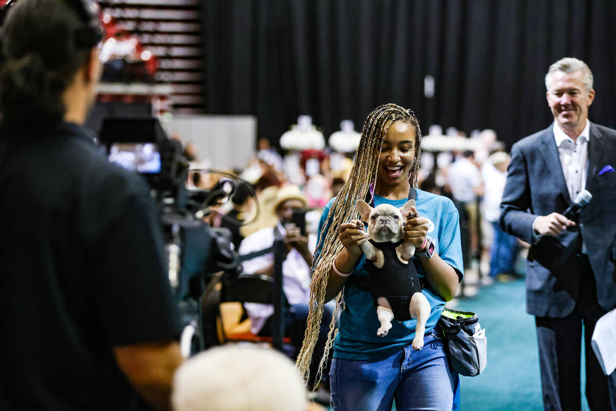 Volunteer Zuri Barlow carries Yoda in The Animal Foundation 20th annual Best In Show dog show a ...