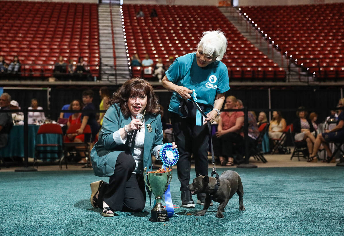 Animal Foundation CEO Hilarie Grey awards Stella the best in show first place award next to vol ...