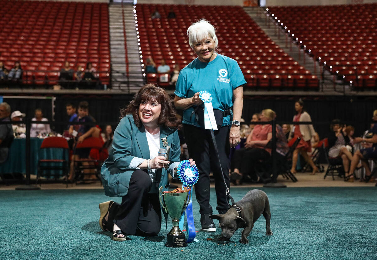 Animal Foundation CEO Hilarie Grey awards Stella the best in show first place award next to vol ...