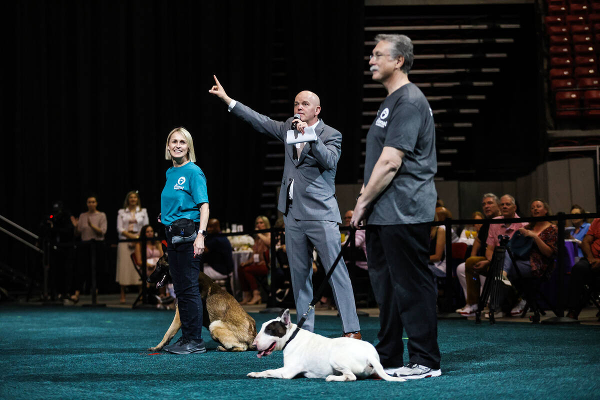 Host Chet Buchanan addresses the crowd in The Animal Foundation 20th annual Best In Show dog sh ...