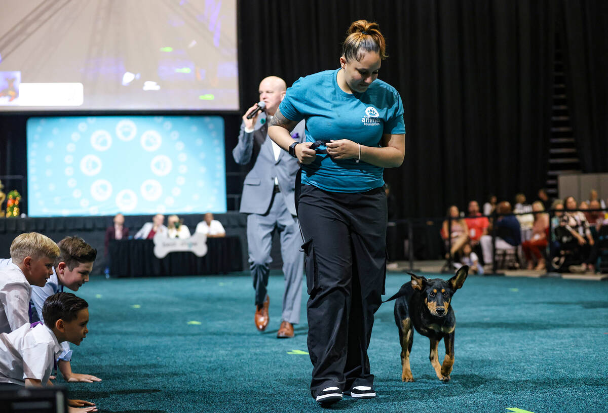 Volunteer Cayley Howell leads Jaxson in The Animal Foundation 20th annual Best In Show dog show ...