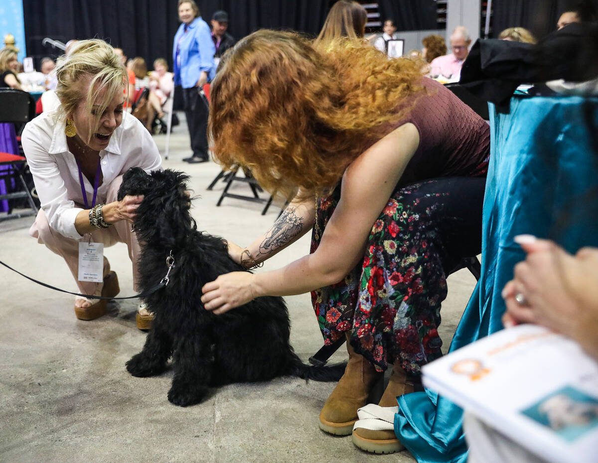 Carolyn Wagner, left, and Danielle Whitman, right, pet Romeo during the 20th annual Best In Sho ...