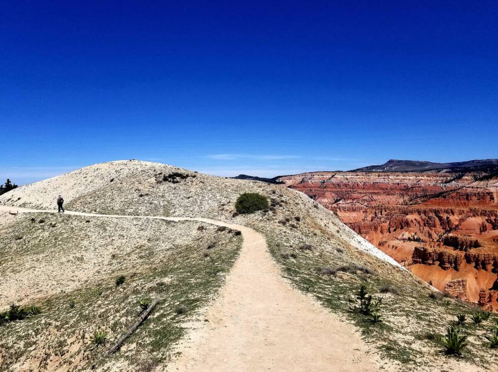 Nature in red, white and blue: A Cedar Breaks trail on a clear-sky day. (Natalie Burt/Las Vegas ...