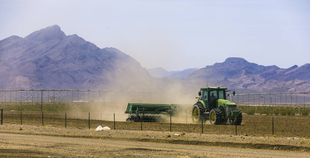 A new field is worked for planting Triticale for feeding on the Ponderosa Dairies, a diary farm ...