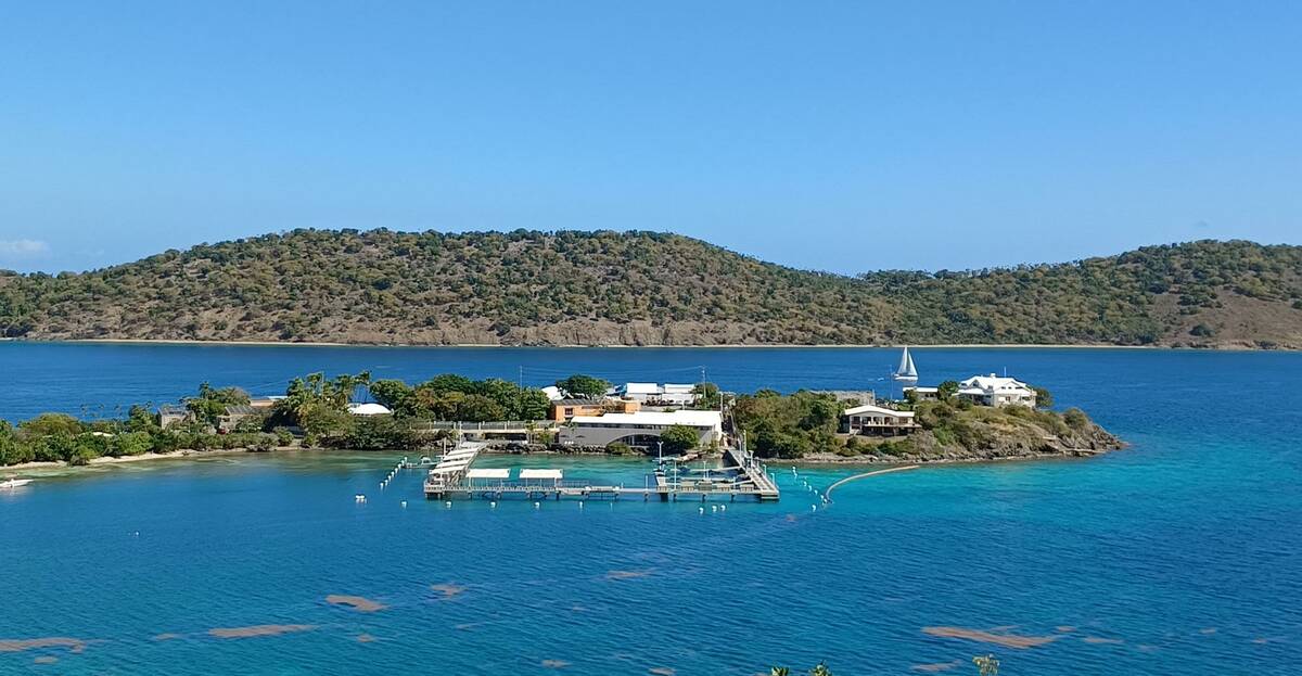 Coral World Ocean Park’s Sea Sanctuary at Water Bay in St. Thomas, U.S. Virgin Islands is sho ...