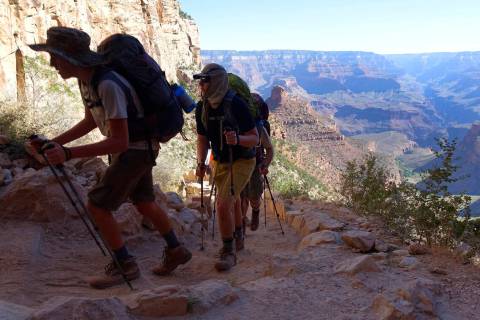 A long line of hikers head out of the Grand Canyon along the Bright Angel Trail at Grand Canyon ...