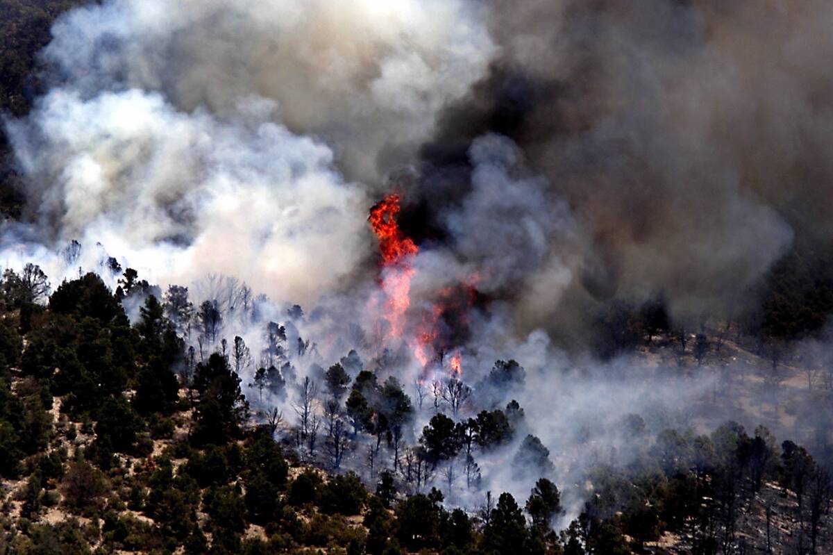 NEWS -- The Lost Cabin Fire burns on a slope behind Torino Ranch, Wednesday, July 17, 2002. The ...