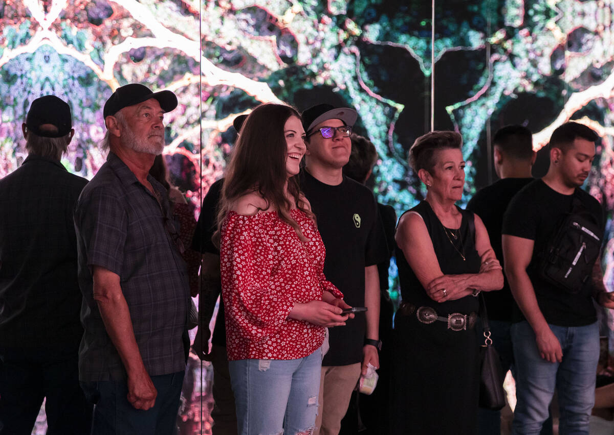 A group of people stare in awe at a wall of kaleidoscope visuals during a tour through the Fant ...