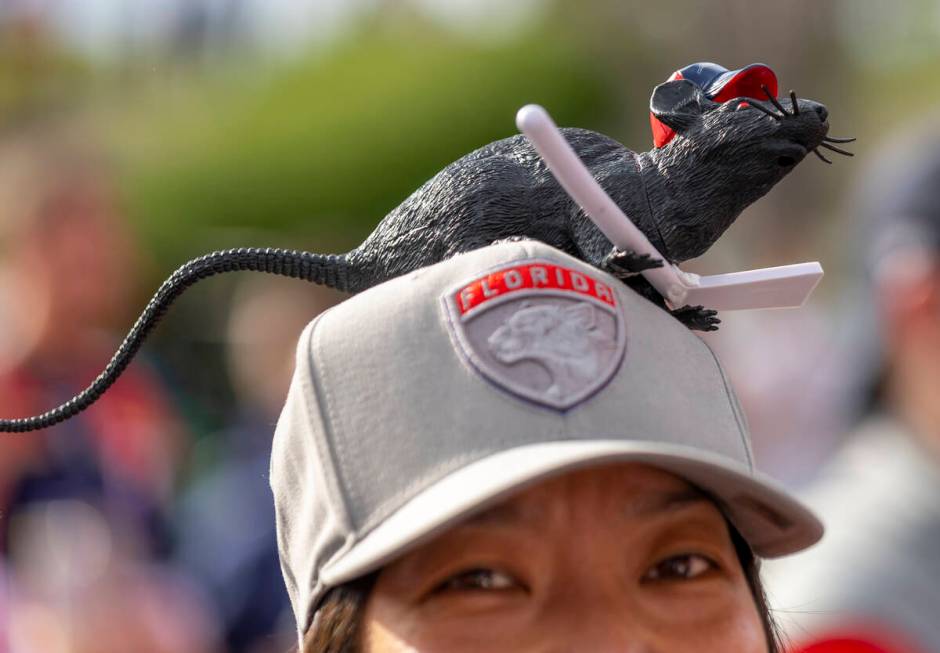A Florida Panthers fan sports a rat on her hat as she enjoys some music before Game 3 of the NH ...