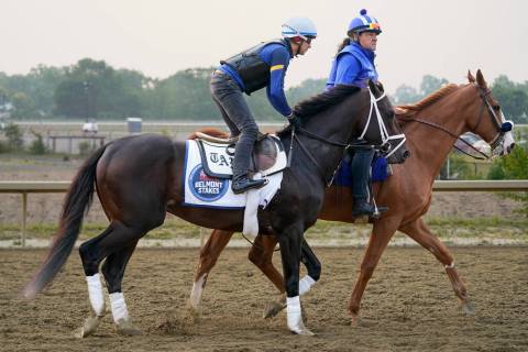 Forte trains ahead of the Belmont Stakes horse race, Wednesday, June 7, 2023, at Belmont Park i ...