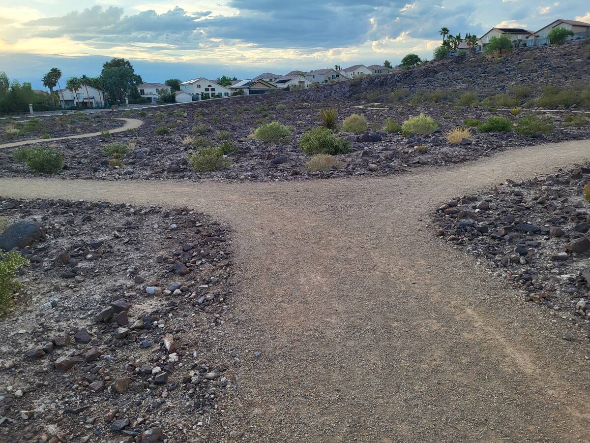 A fork in the path of Sonata Park's desert trail. (Mark Credico)