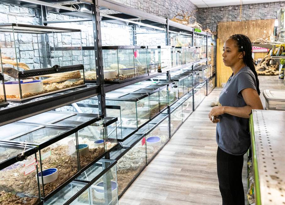 Stephanie Tracy, a co-owner of Wild Things, the exotic animal store, looks at empty reptile box ...