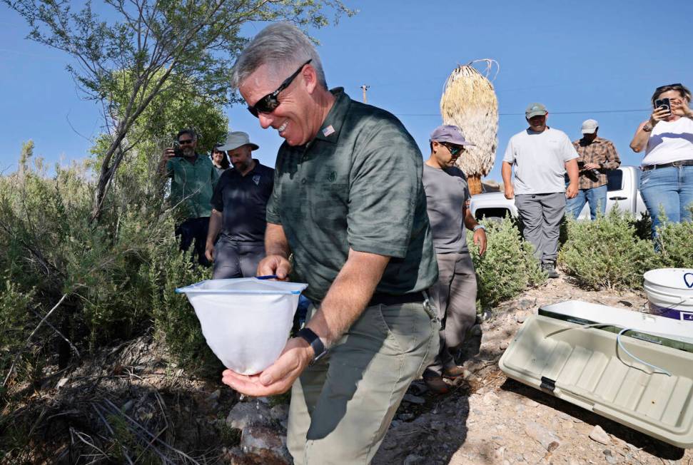Curt Russell, Coyote Springs director of operations, carries a Moapa dace in the net to release ...