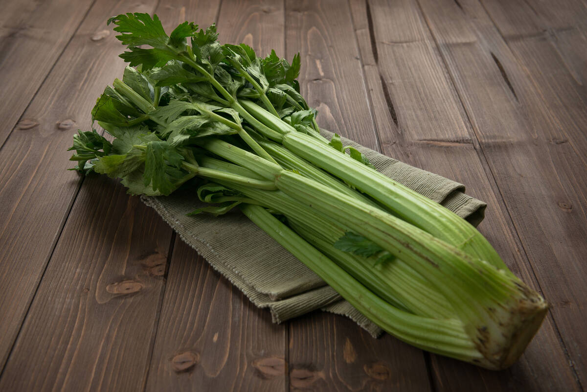 Celery contains dietary fiber, vitamin K and small amounts of vitamins A and C, calcium and iro ...