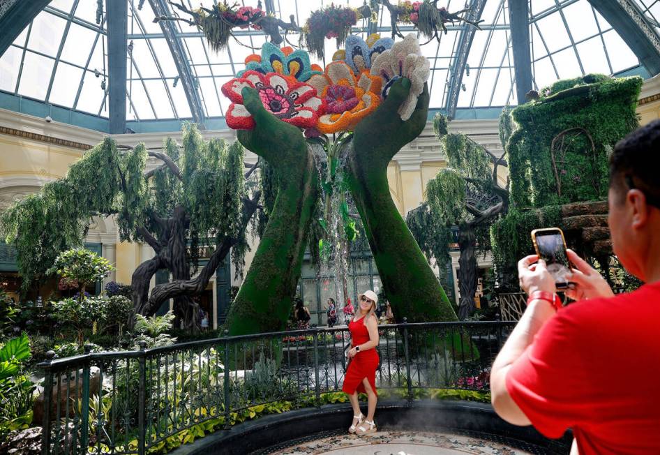 Estela Zavaleta poses for a photo as her husband Francisco Cruz takes a photo at Bellagio’s C ...