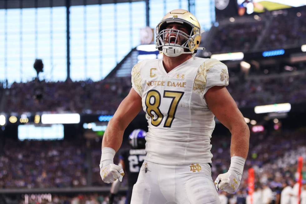 Notre Dame Fighting Irish tight end Michael Mayer (87) celebrates a touchdown catch during the ...