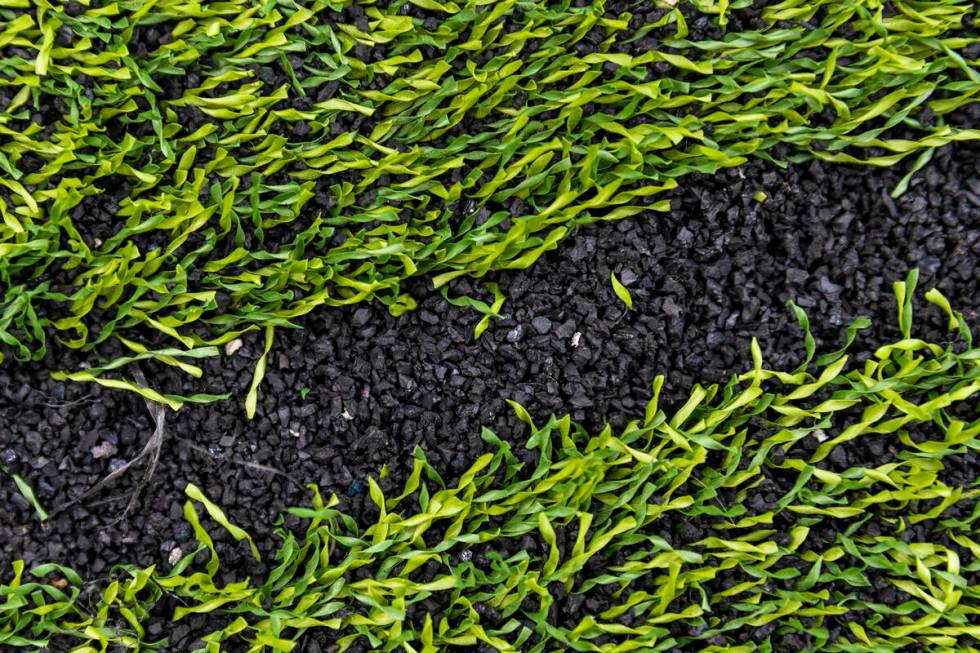 At the end of each turf event, Allegiant Stadium team members collect used rubber turf pellets ...