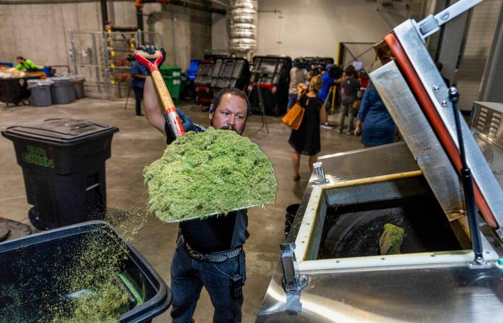 Allegiant Stadium team member Luis Garcia loads grass clippings into their composter which cont ...